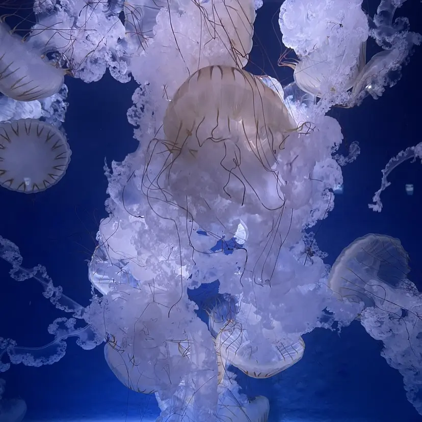 まなと 浦和の掲載