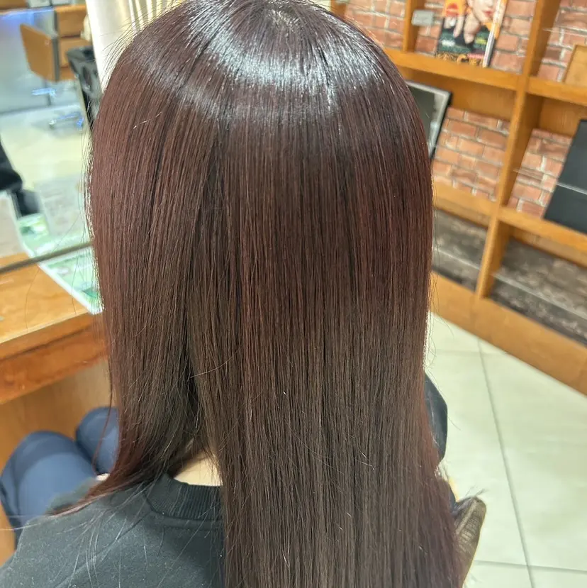 田中 愛子の掲載