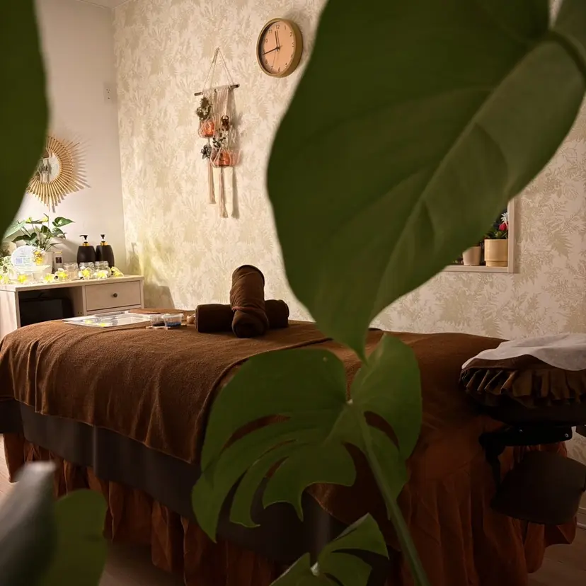 Salon Laniの掲載