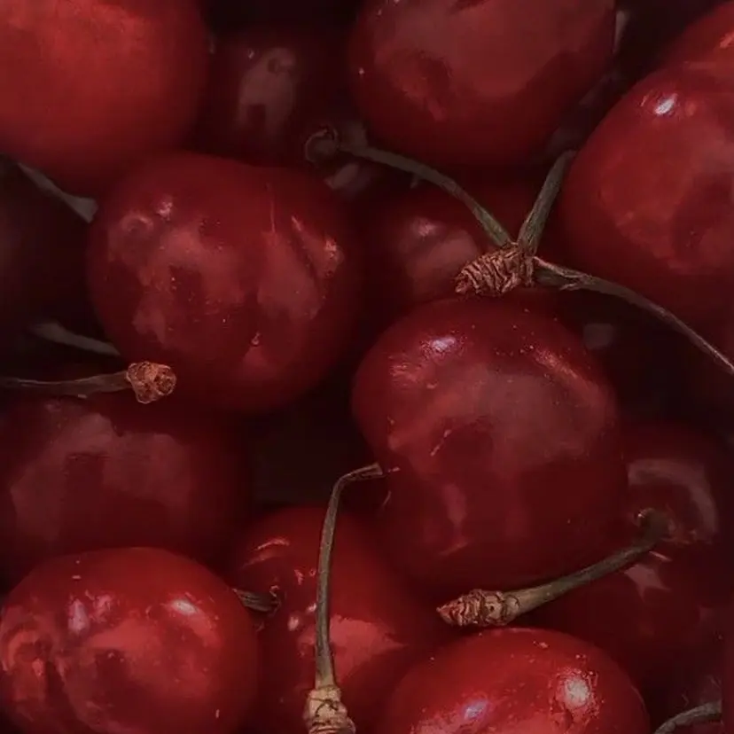 🍷秋色ボルドー♡ 艶レイヤー🍇モエカの掲載