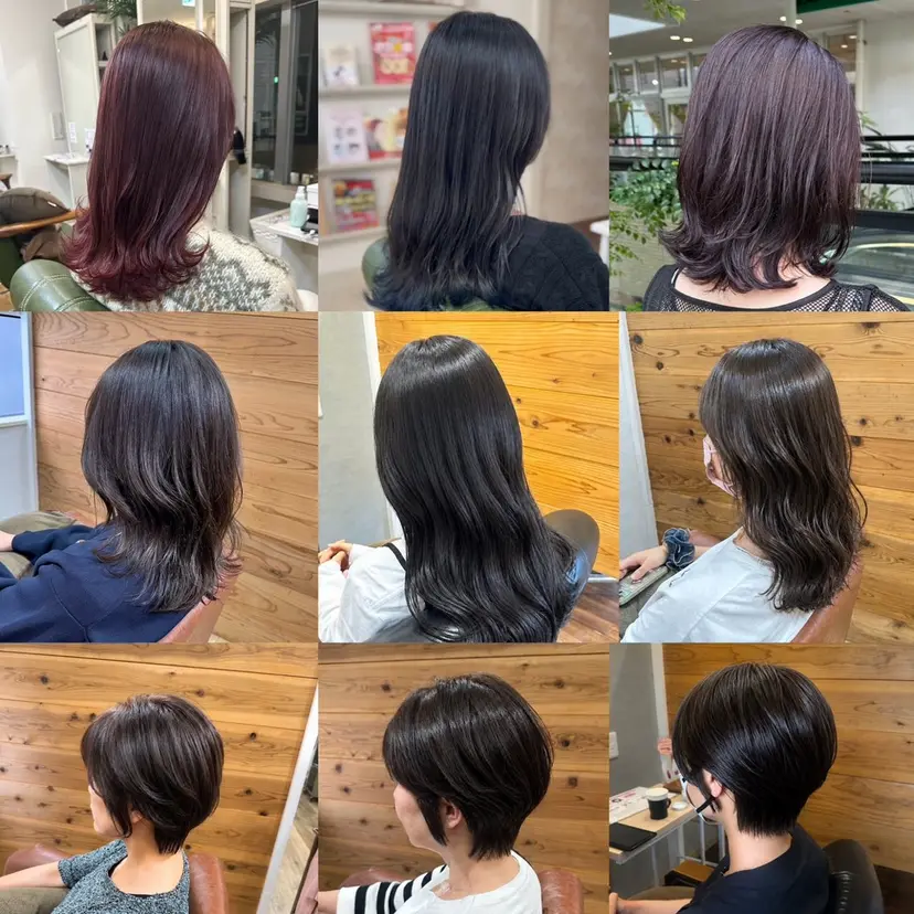 . RYUSEI.の掲載