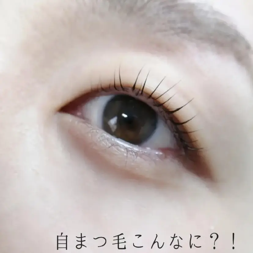 アイラッシュサロン カリンの掲載