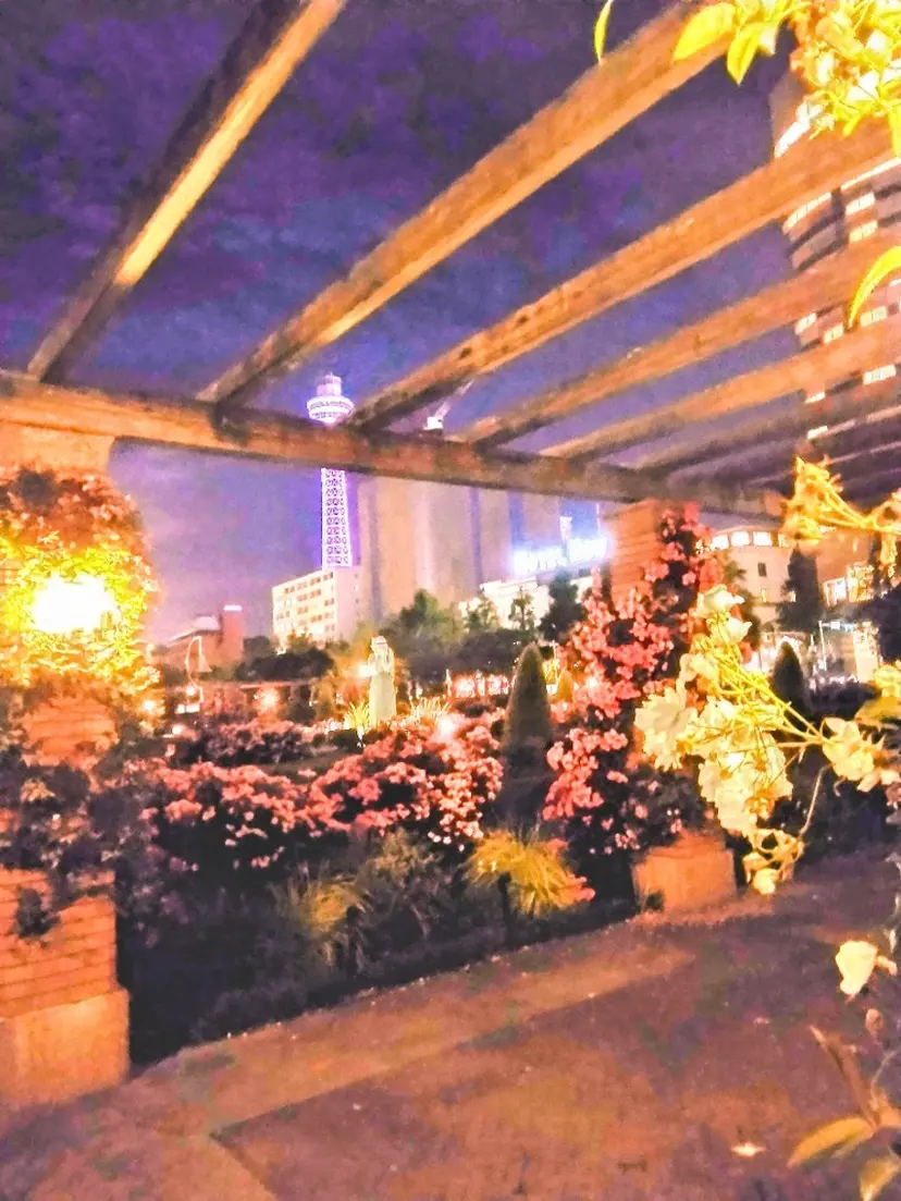 u. mikaの掲載
