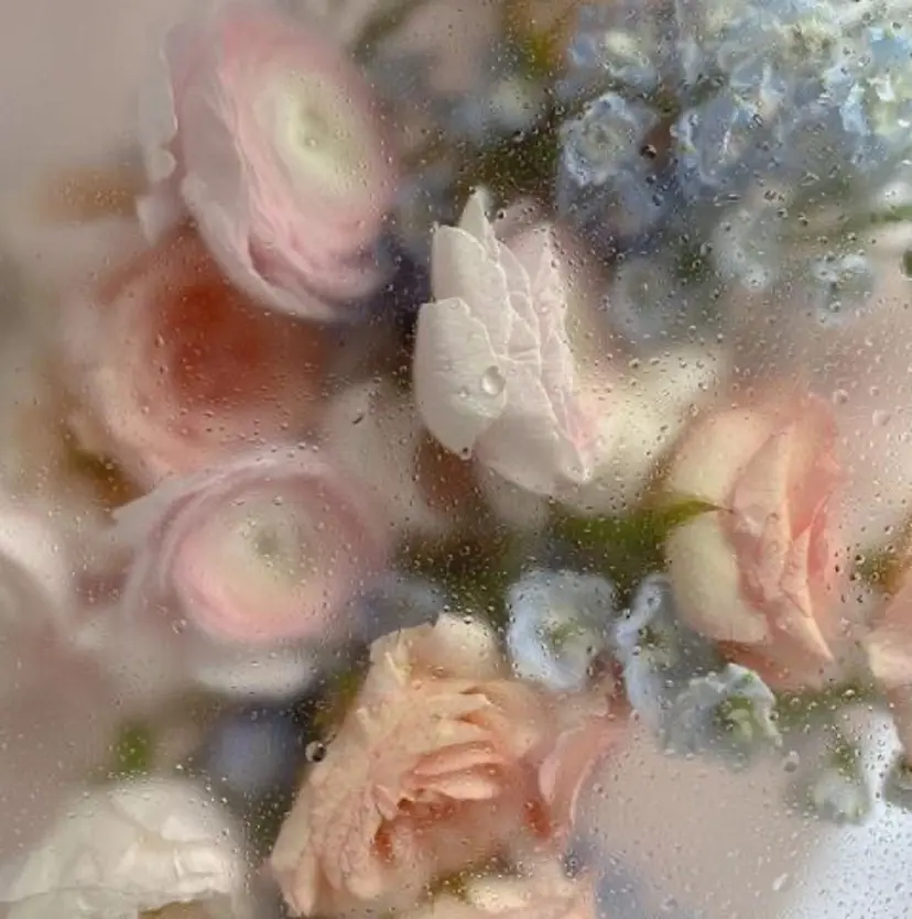 末永 柚芽花の掲載