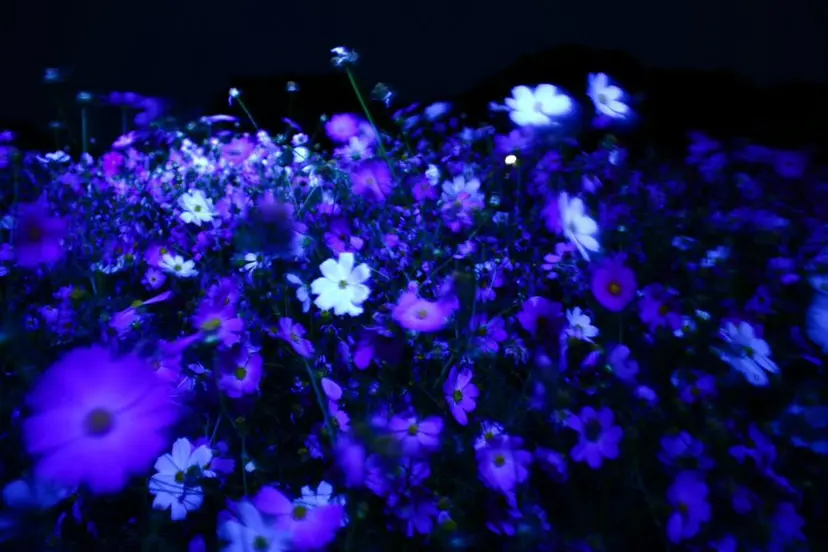 EYELIST 🤍HARUKAの掲載