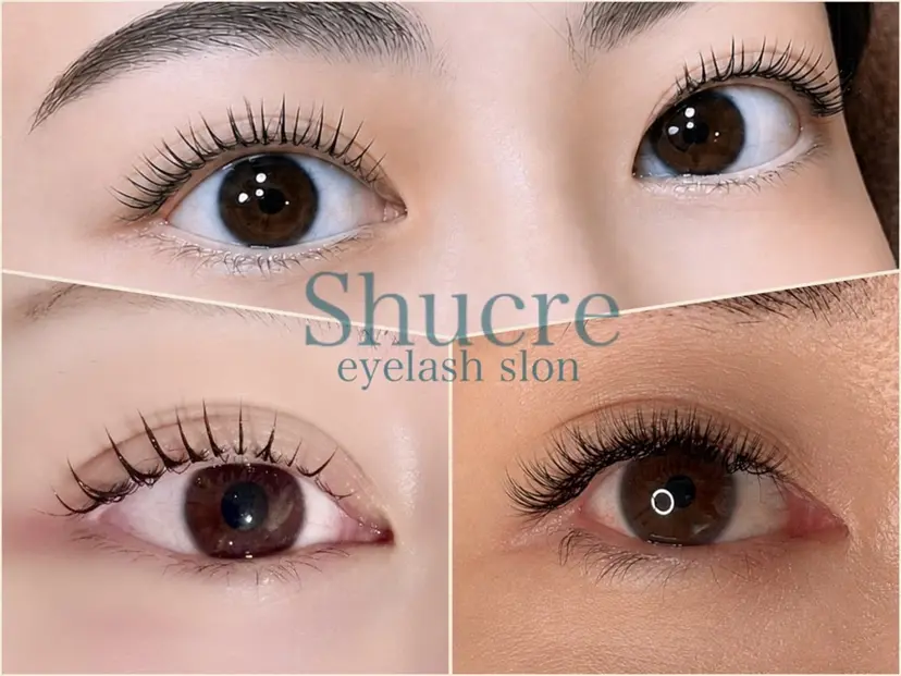 shucre naoの掲載