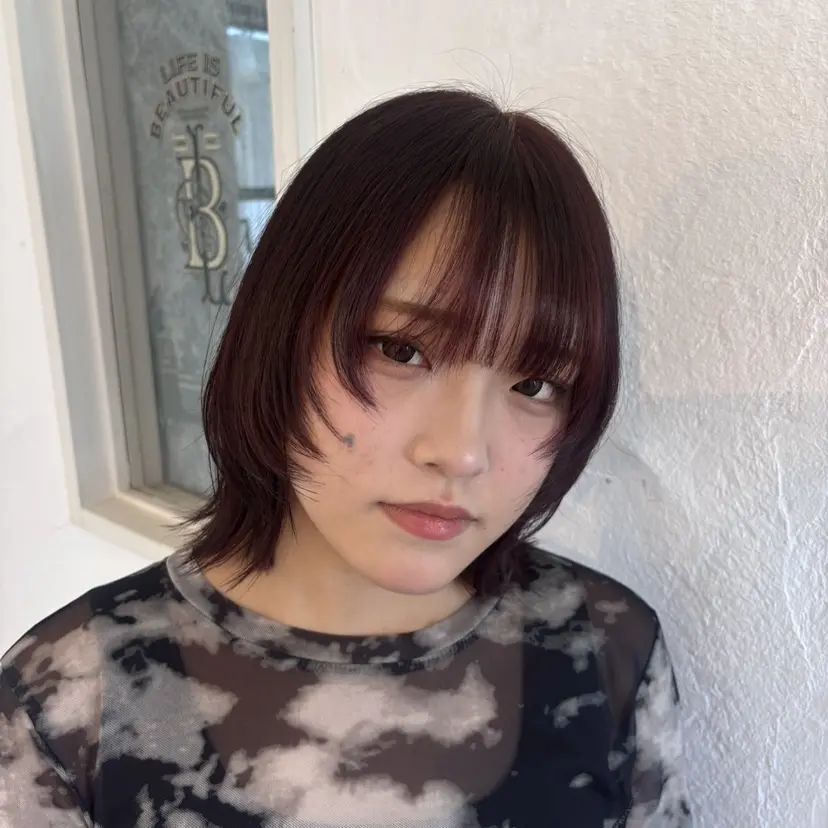 宮澤 くるねの掲載