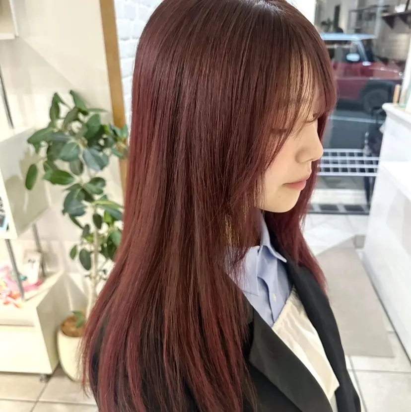van shionの掲載