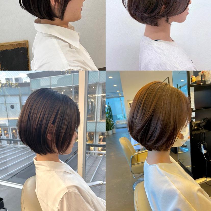 たかしな けいなの掲載