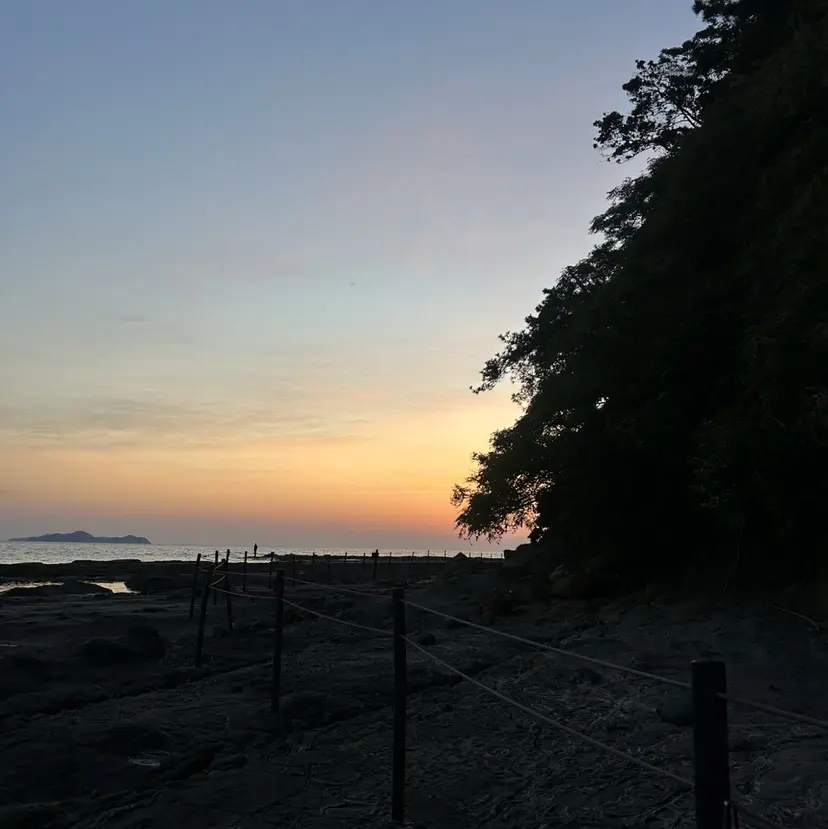 umeno yumaの掲載