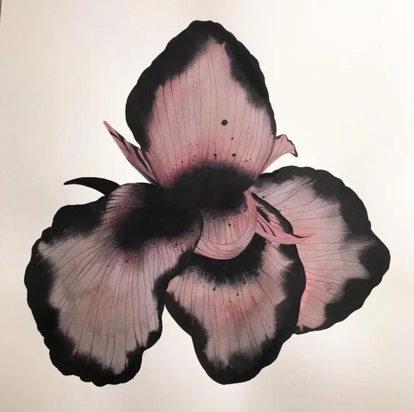 丸 山の掲載