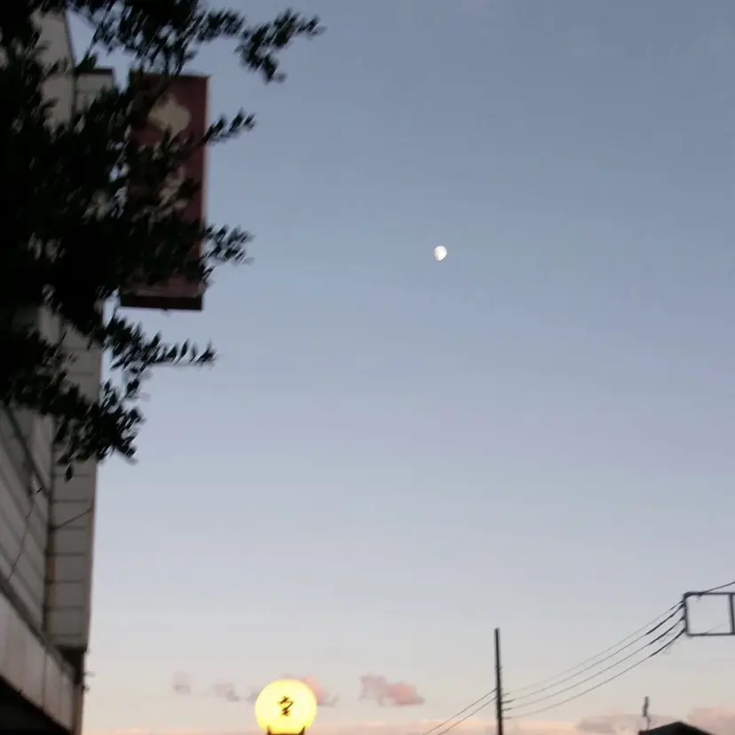 王野 真菜の掲載