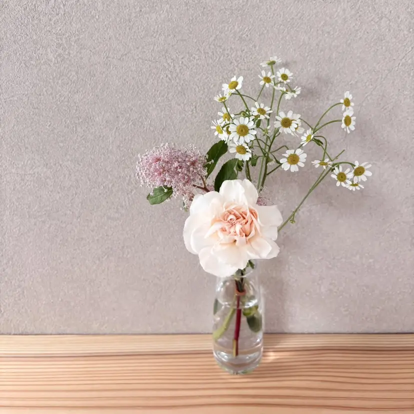Lily / eye salonの掲載