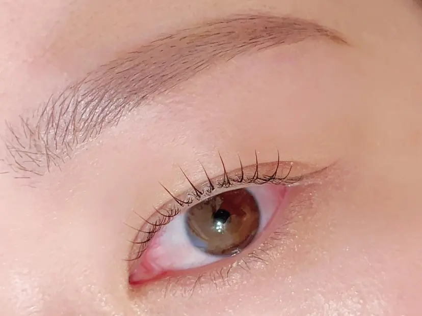 I MIDORIの掲載