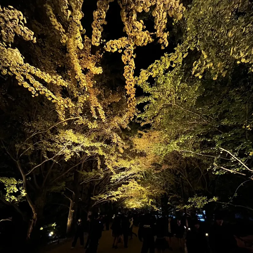 石田 朱蕾の掲載