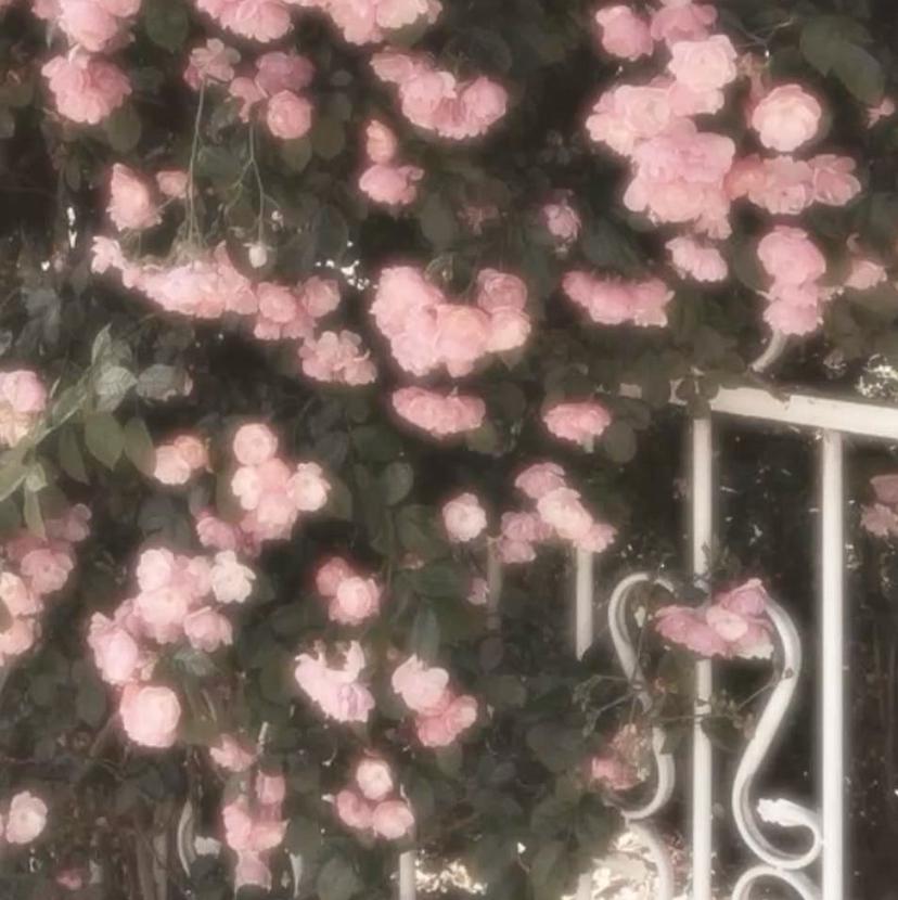 🎀中村萌花 TRUTH市川店🎀の掲載