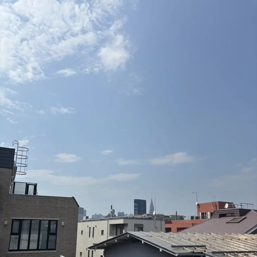 長谷川 澄の掲載