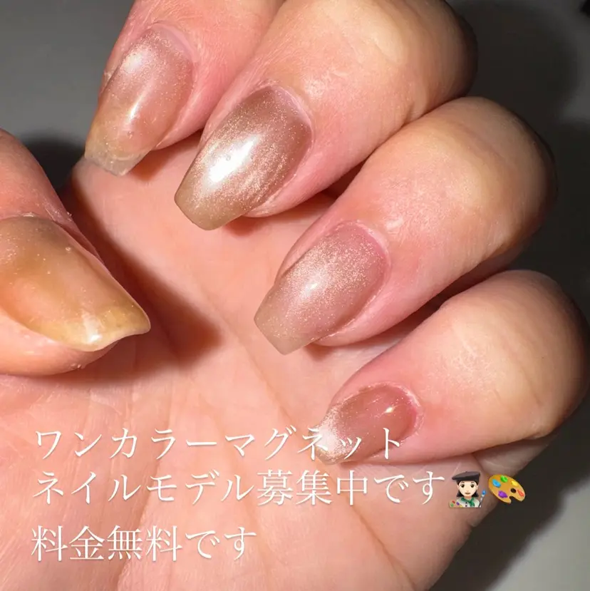フィダルゴ 春香の掲載