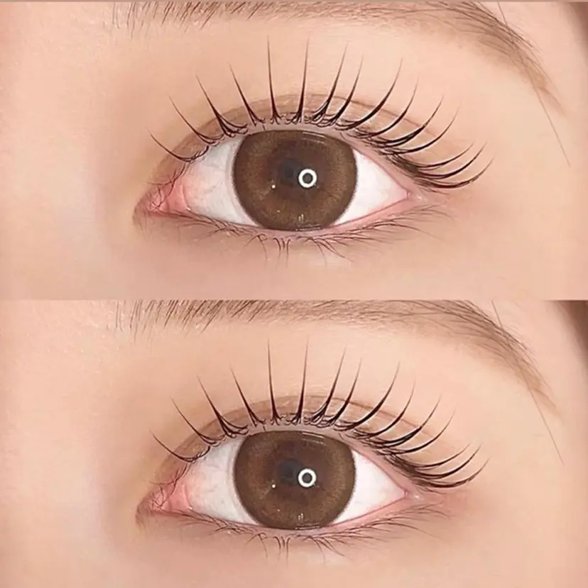 Emiy BeautyLushの掲載