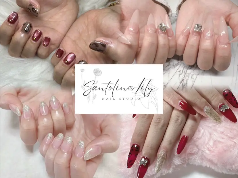 Santolina Lilyの掲載