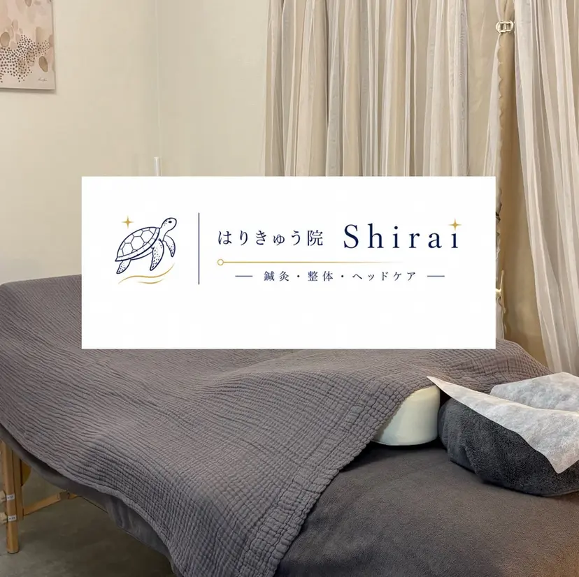 鍼灸【Shirai】 肩こり・頭痛・美容鍼の掲載