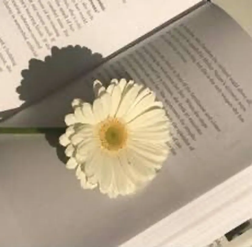TUR ひめかの掲載