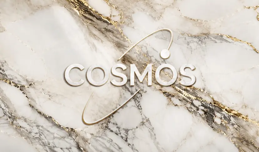 COSMOS💫 千穂の掲載