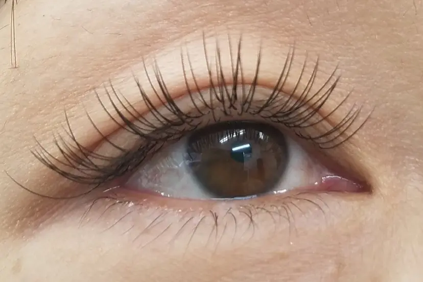 Eyelash Seek の掲載