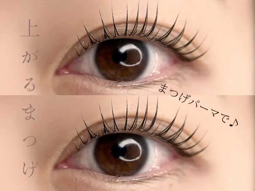 🌻eyelash salon KOH.の掲載