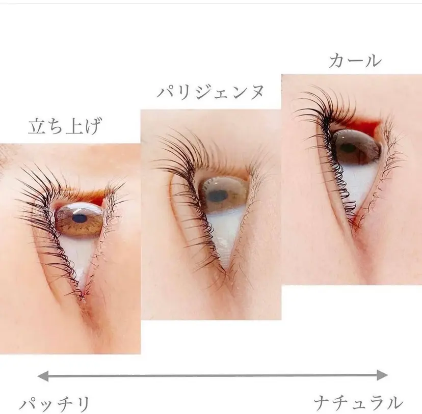 オ ノの掲載