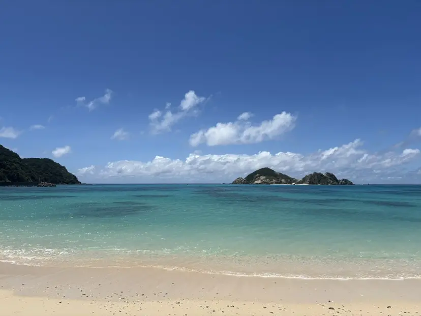 MAHAE 中司の掲載