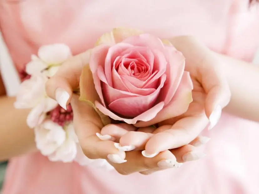 Rose oil 齋藤の掲載