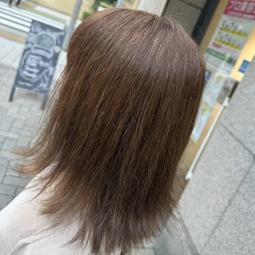 Palacchi Shinoの掲載
