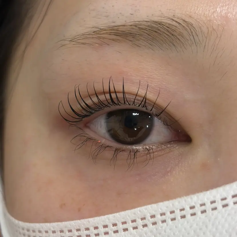 sarah 米岡の掲載