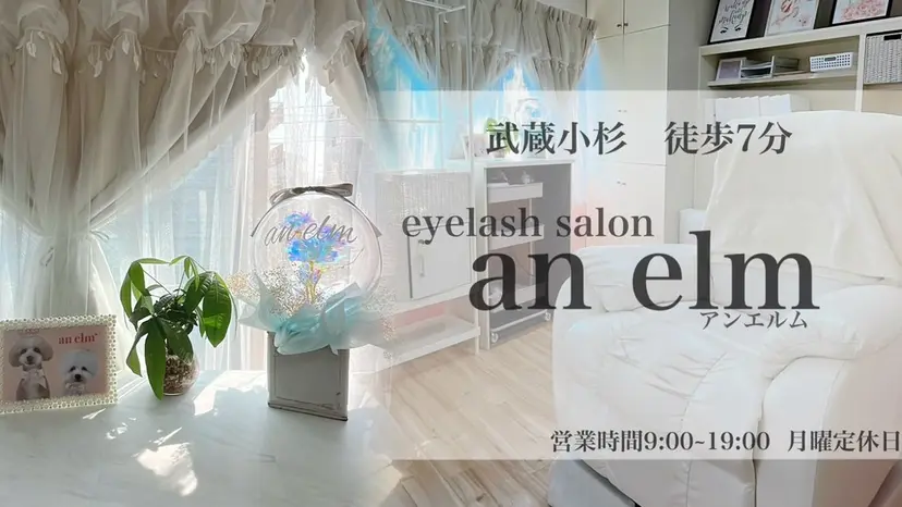 武蔵小杉an elm ムカエの掲載