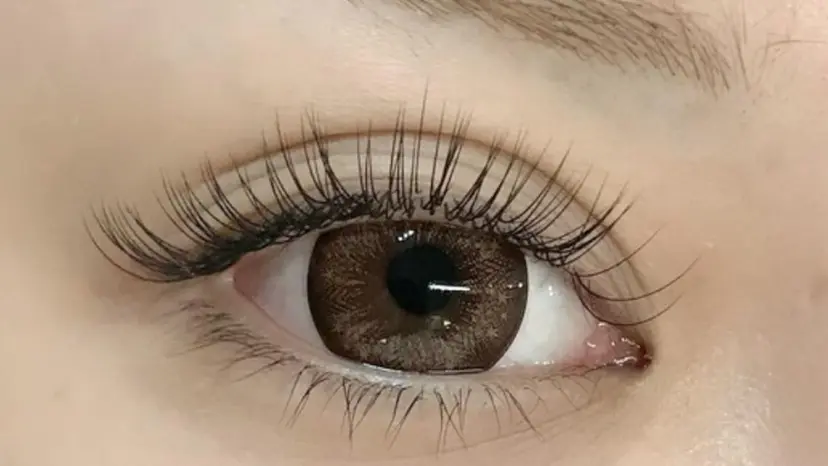 eyelash salon　miteの掲載
