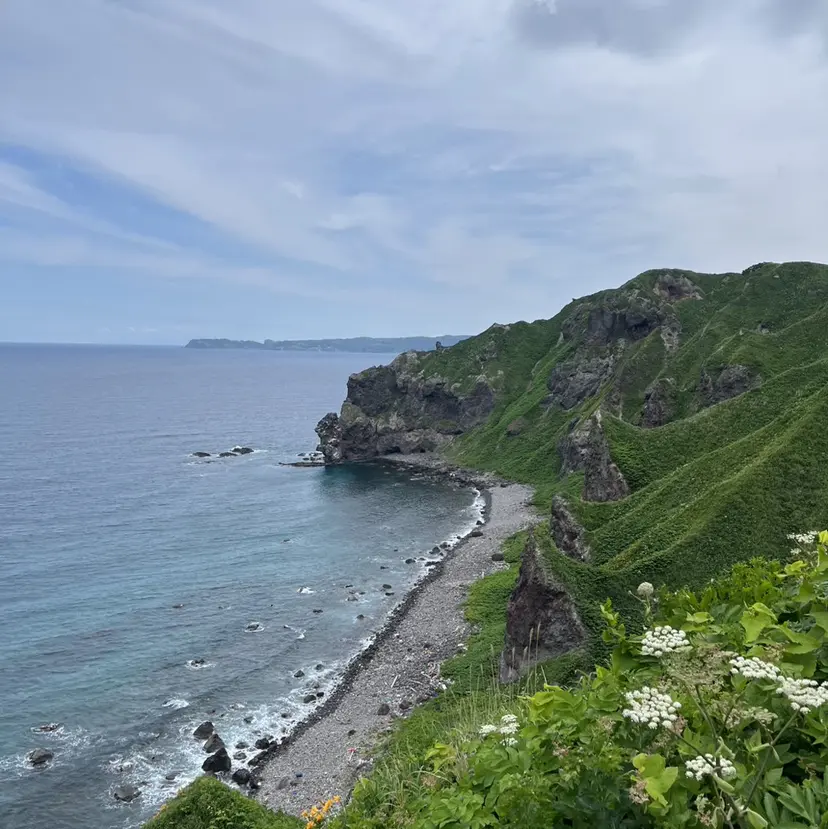 髙木 彩有の掲載