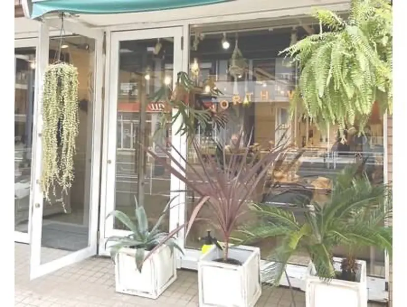 鶴迫 梨花の掲載
