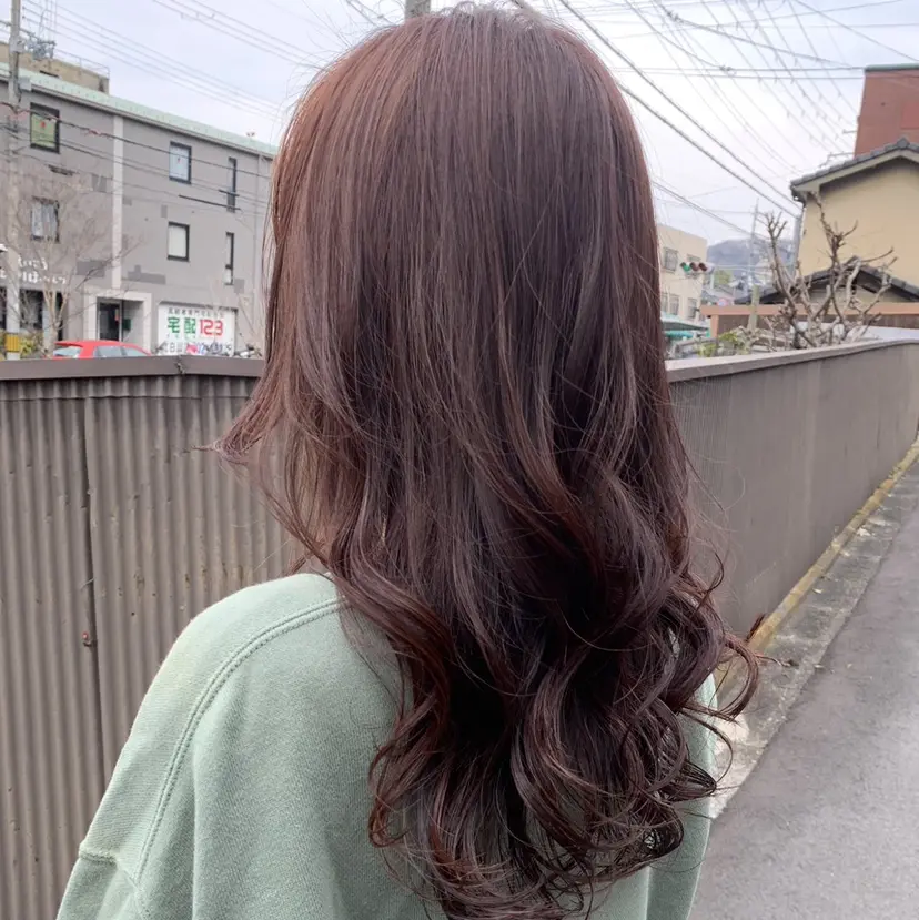 本田 茜の掲載
