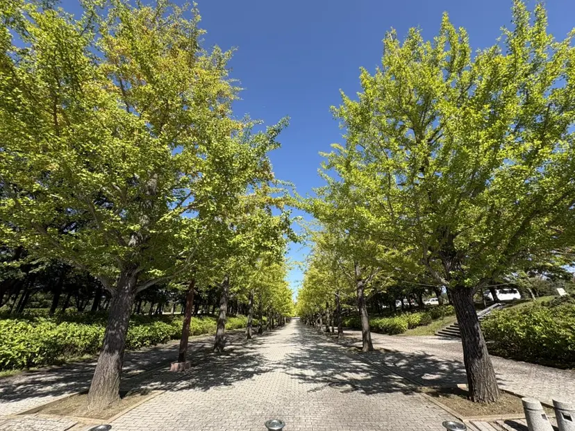 生江 岳の掲載