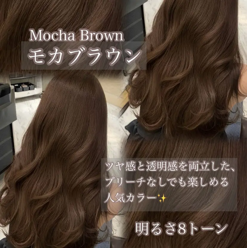 本村 しょうたの掲載