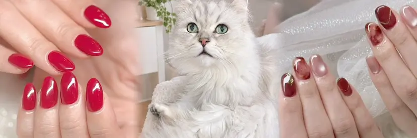池原 恵利子の掲載