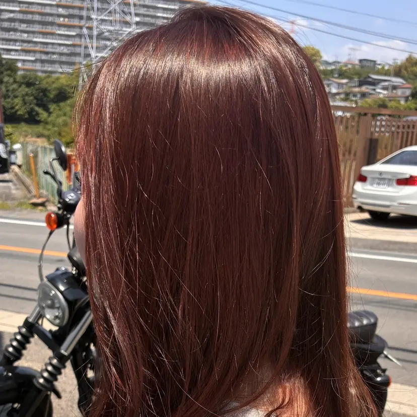 ビヨウシツトリコ よねたにみなの掲載