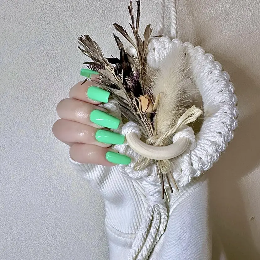 Luana nailの掲載