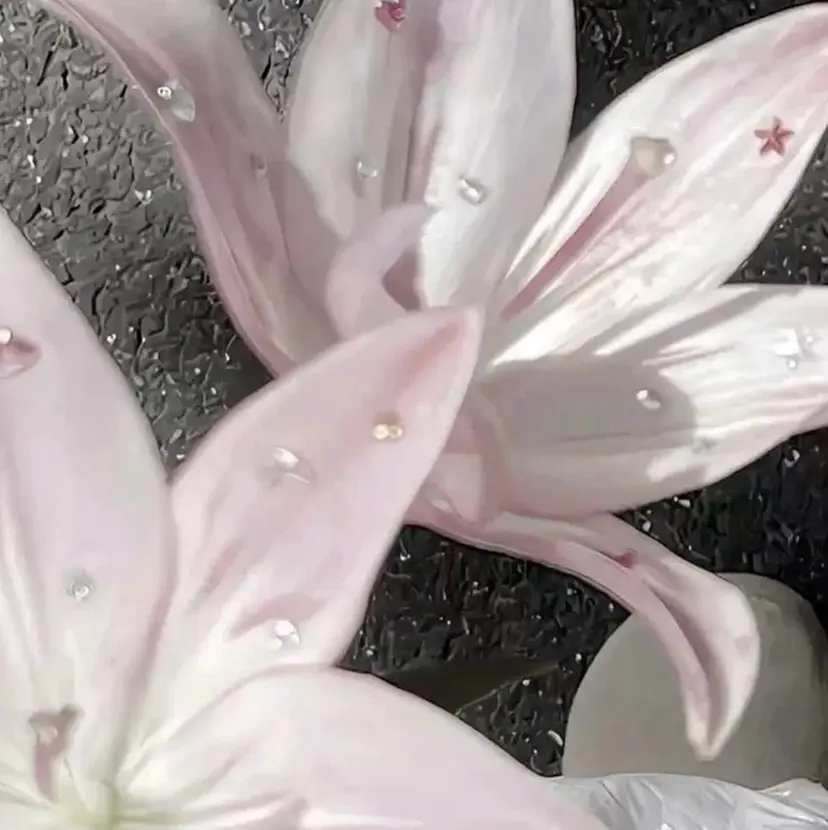 nagisa ✮の掲載