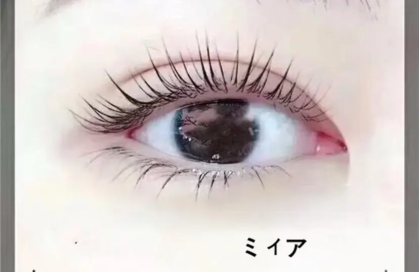 ミィア まつ毛パーマの掲載