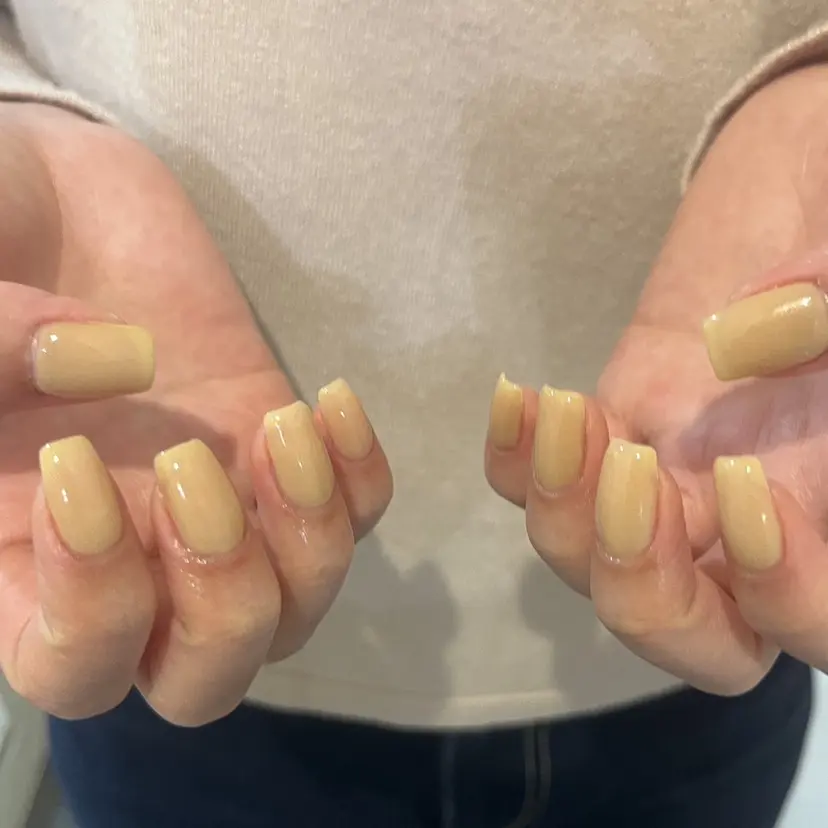 C. Rinaの掲載