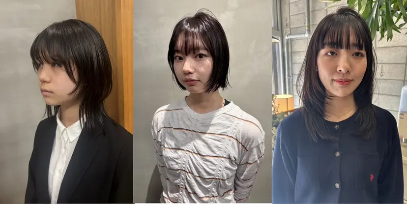タケ/ボブショート モデル募集の掲載
