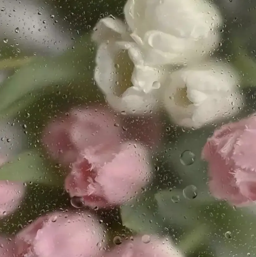 akane .の掲載