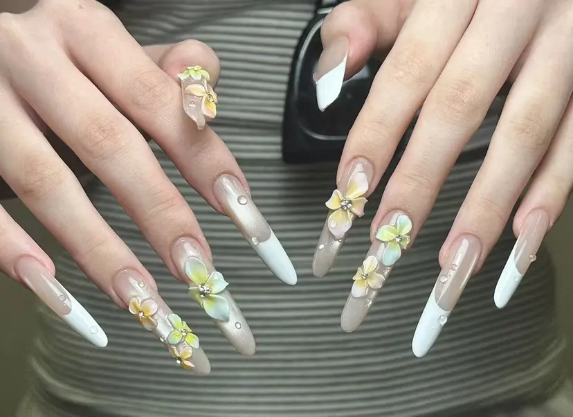 シ シの掲載